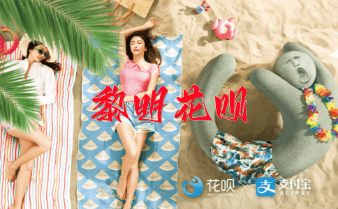 一针见血（直戳问题要害）花呗